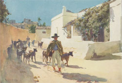 Goatherd Murcia